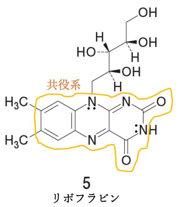 尿の着色の原因と考えられる化合物 長い共役系 103回薬剤師国家試験問207